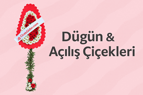 Teraryum kategorimiz ile özenle hazırladığımız teraryum çeşitlerini online sipariş verebilirsiniz. Kaliteli teraryumlar için doğru adres Kalite Çiçek.