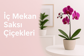 Sürpriz doğum günü hediyesi göndermek isteyenler için en kaliteli çiçekleri hazırladık. Kampanyaları kaçırmayın hemen sipariş oluşturun.