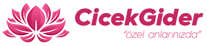 Çiçek Gider logo